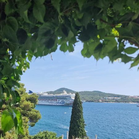 Apartment Ana Lozica With Terrace Dubrovnik Kültér fotó